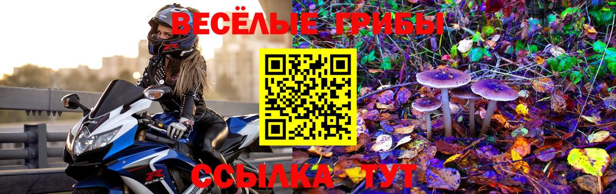 Псилоцибиновые грибы Magic Shrooms  Вход с VPN  Новодвинск  Галлюциногенные грибы мухоморы 