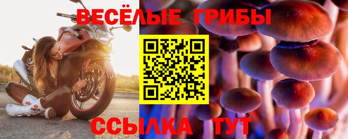Псилоцибиновые грибы Magic Shrooms Новодвинск